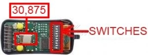 Remote: ALLMATIC AKMY2 30.875 MHz with 2 buttons