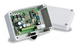Came 806SL 0230 Gate remote control - Remote Control Express