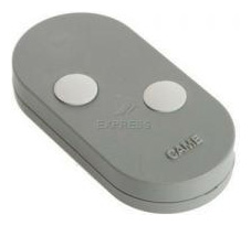 Came TOPD 2RGS Gate and garage door remote